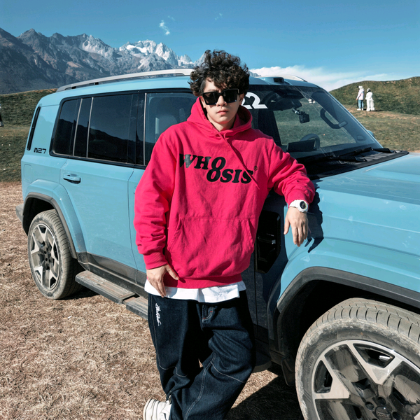 玩车的卷毛儿头像