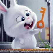 lzonel的个人资料头像