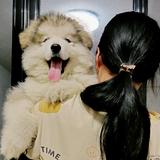 冰淇淋Zdp头像