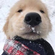 9_天羿的个人资料头像