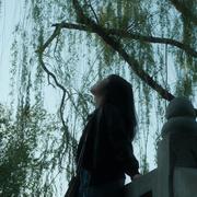 yy的个人资料头像