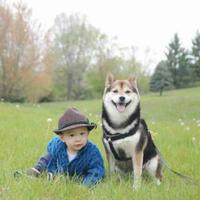 鱼鱼不小头像