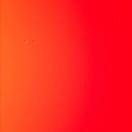 嘀嘀嘀的个人资料头像