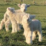 用户7227101508033的个人资料头像