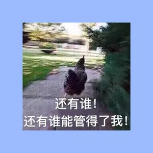 舆楽头像