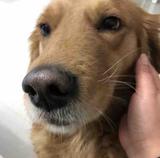 💓LILY@🎀👑头像