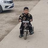 职业教育朱老师头像