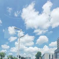 面向大海湖头像