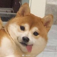 海不白头像