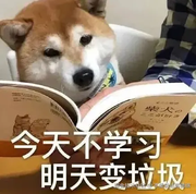 user6914029681476的个人资料头像