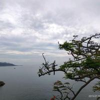 躲在黑夜里头像