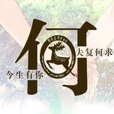 何也头像