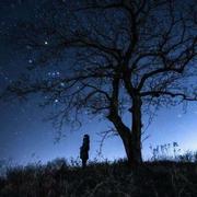 倔强的蚂蚁的个人资料头像