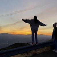 哈哈哈士奇85头像