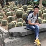 幸福轮船H7T头像