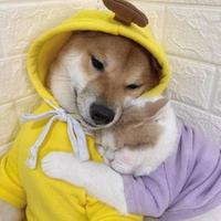 山南水北965头像