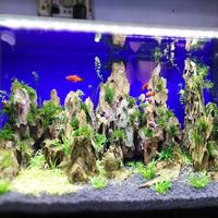 山水园景业头像