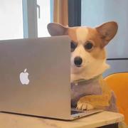 骑摩托的程序员的个人资料头像