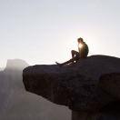 于弦的个人资料头像