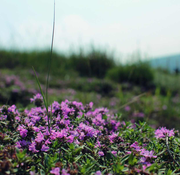 cary同学23886的个人资料头像