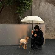 企鹅不耐热的个人资料头像