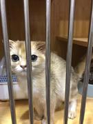 taotao噗噗的个人资料头像