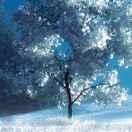 我心悦你的个人资料头像