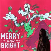 此木781的个人资料头像