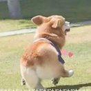 YOYO就是我99937的个人资料头像