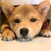 小林同学1106头像