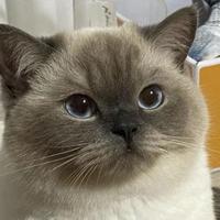 爱生活的长沙搬砖人头像