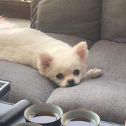 noobWu的个人资料头像