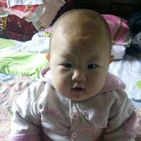 多彩百灵鸟8Ov头像