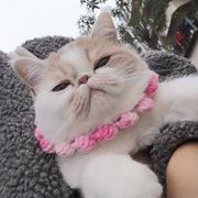 SuanMak1r的个人资料头像