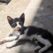 kok的个人资料头像