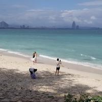 爱尚种菜头像