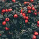 小慕君98037的个人资料头像