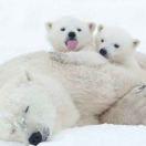 JIANG爱学习90136的个人资料头像