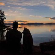 用户2403157072086的个人资料头像