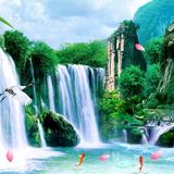 福哥1979福哥头像