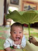 生如夏花爱学习22966的个人资料头像