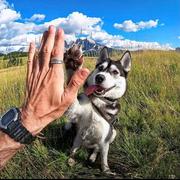 Arthur837的个人资料头像