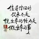 Cheng575头像