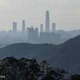 2022年爷我虎虎生威头像