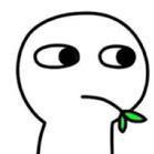 Xiaochena的个人资料头像