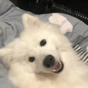 qx719的个人资料头像