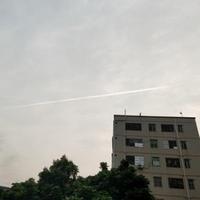 千里雷万里闪头像