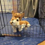 _jiang_的个人资料头像