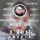 绿叶嘉龙    达哥头像