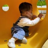 寒凛团团头像